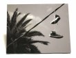 画像1: 【3LA】Photo canvas/Hanging shoes (1)