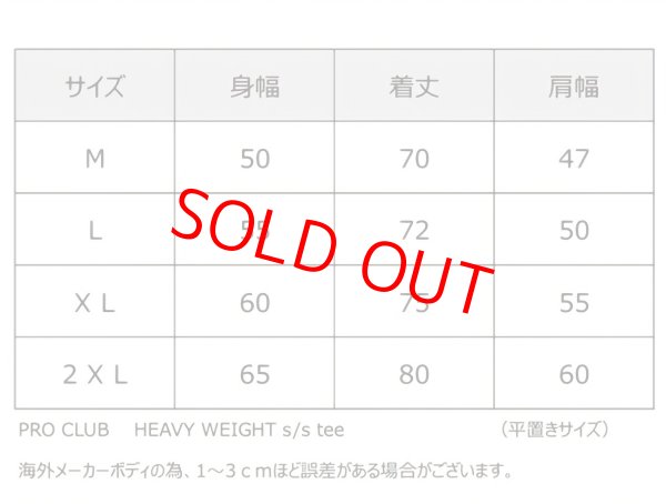 画像4: 【POPAI DAY】9月5日より発送/100枚限定/Road to glory tee (4)