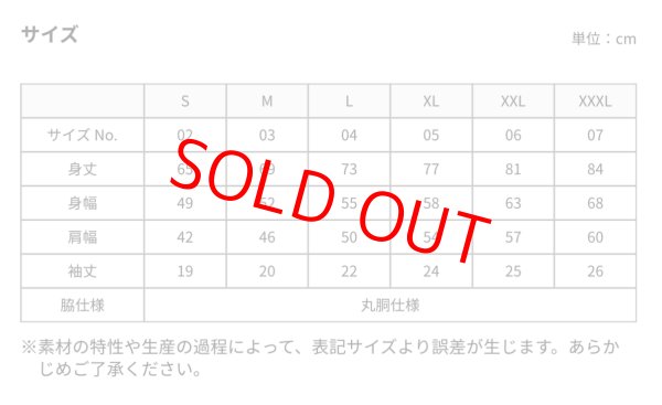 画像3: 【POPAI DAY】パンストtee （白）/ 9月24日より順次発 (3)
